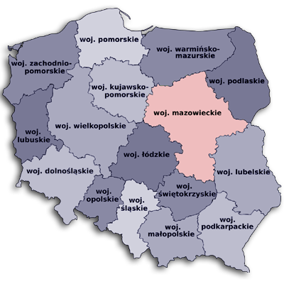 projekty stron okolice Warszawy